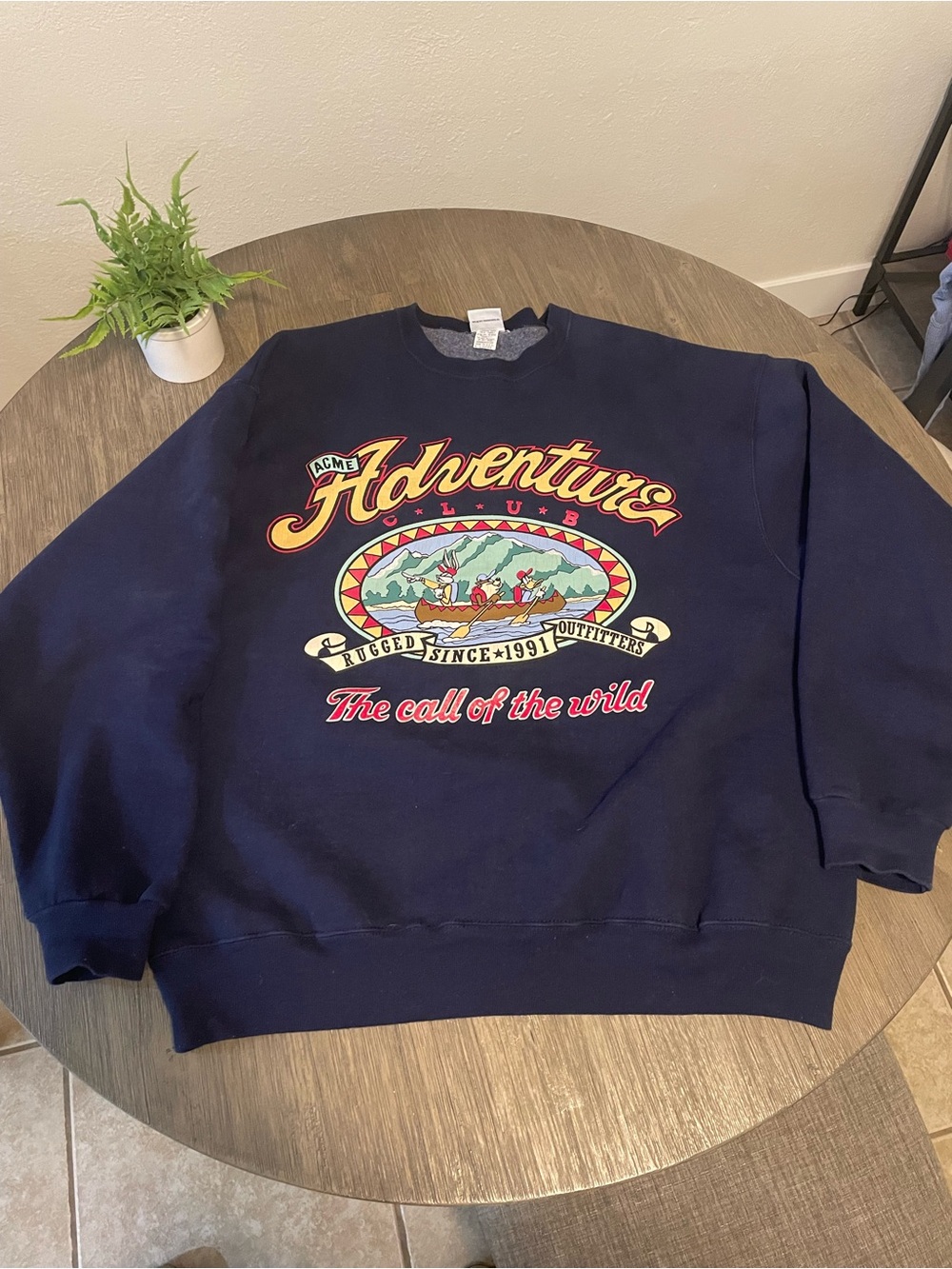 Vintage Looney Tunes Graphic Crewneck Sweatshirt - Navy